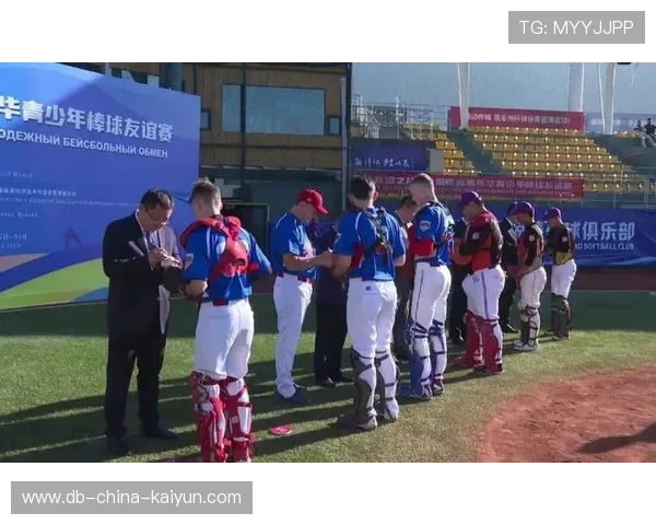 乍得举办大型青少年体育节，乍得举办大型青少年体育节英语