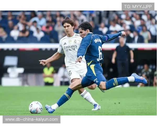 欧冠赛场的“暗战”:裁判、教练与球员的博弈,欧冠决赛裁判组 欧冠赛场的“暗战”:裁判、教练与球员的博弈,欧冠决赛裁判组